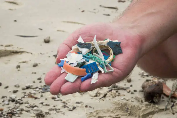 Handful of plastic rubbish collected from a small section of Cape Tribulation Beach, Far North Queensland, Australia