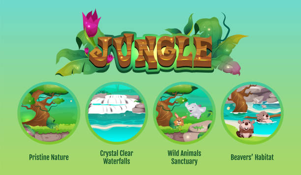 Jungle flat color vector conceptual infographic template. Tropical rainforest. Poster, booklet, PPT page concept design with cartoon characters. Advertising flyer, leaflet, info banner idea Jungle flat color vector conceptual infographic template. Tropical rainforest. Poster, booklet, PPT page concept design with cartoon characters. Advertising flyer, leaflet, info banner idea ppt templates stock illustrations