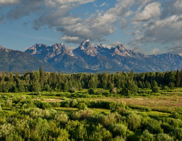 The Teton Range and Sagebrush Often overshadowed by Yellowstone National Park, its larger neighbor to the north, Jackson Hole and the Snake River Valley is a land of vast scenic beauty.  What it lacks in geysers and hot springs, it more than makes up for in the rugged Teton Mountain Range.  The Teton's many canyons lead to alpine meadows, cirques and towering peaks.  It was this rugged range that became Wyoming's second national park in 1929.  In 1950 the park boundaries were expanded to include much of the Snake River Valley.  This wildflower meadow and the Teton Range was photographed from Blacktail Ponds Overlook in Grand Teton National Park, Wyoming, USA. jeff goulden grand teton national park stock pictures, royalty-free photos & images