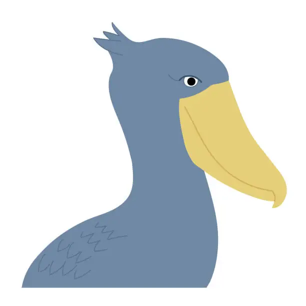 Vector illustration of Side profile of the Shoebill also known as whale-headed stork.