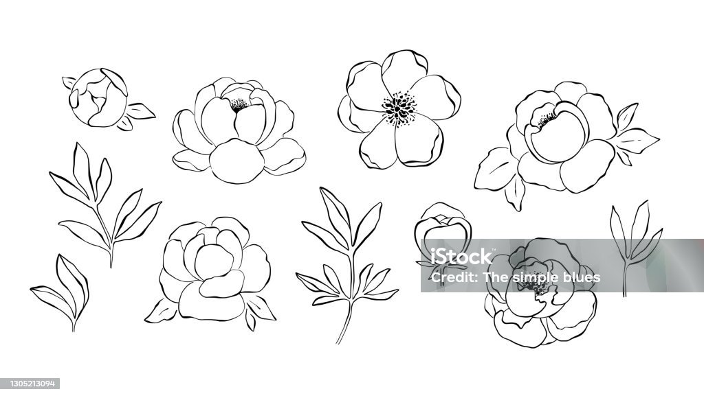 Ilustración de Colección De Imágenes Prediseñadas De Flores De Peonía En Blanco Y Negro y más Vectores Libres de Derechos de Abstracto - iStock Ilustración de Colección De Imágenes Prediseñadas De Flores De Peonía En Blanco Y Negro y más Vectores Libres de Derechos de Abstracto - iStock
