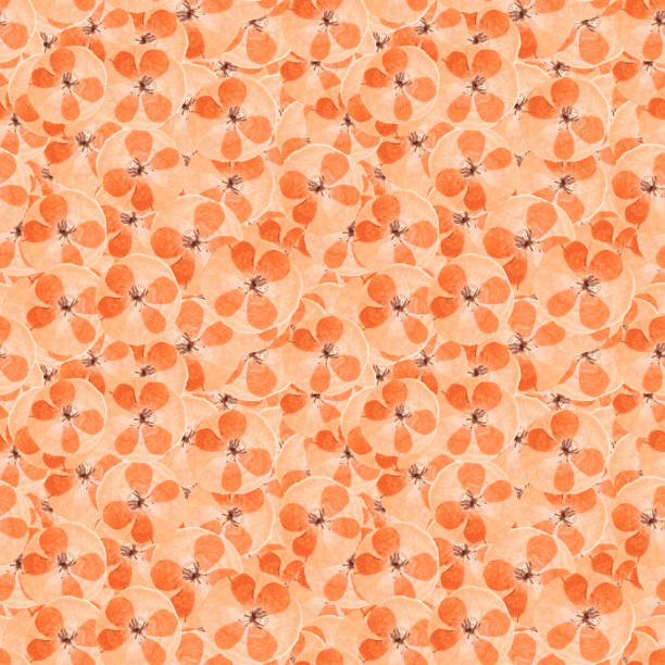 istock Poppy. Illustration, texture of flowers. Seamless pattern for continuous replication. Floral background, photo collage for textile, cotton fabric. For wallpaper, covers, print. 1305214364