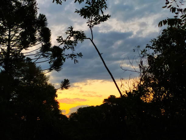 istock Santa Catarina landscape at sunset 1305216981