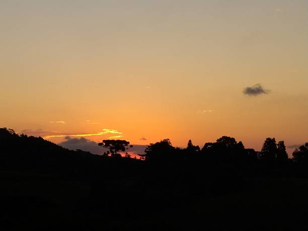 istock Santa Catarina landscape at sunset 1305217029