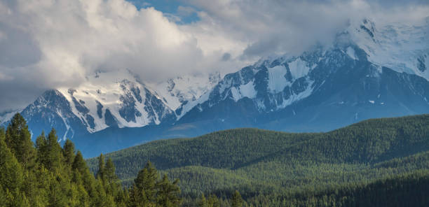 istock Mountain landscape, snow-capped peaks and trees. Summer day, cloudy sky. 1305228525