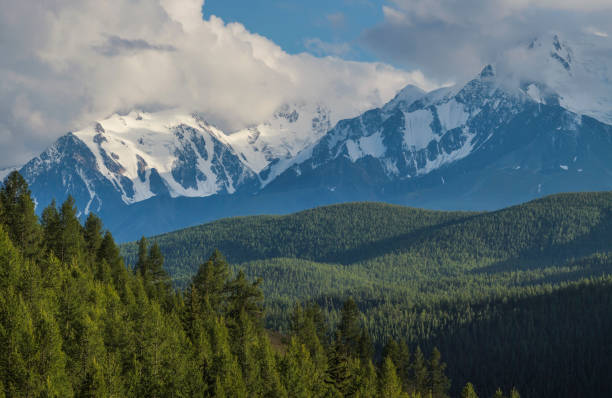 istock Mountain landscape, snow-capped peaks and trees. Summer evening, cloudy sky. 1305228530