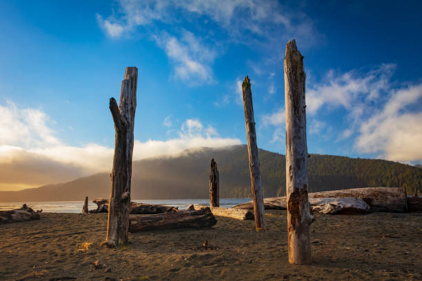 istock Port Renfrew, Vancouver Island. 1305231545