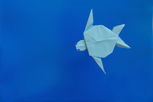 Origami paper turtle from above against blue background with copy space