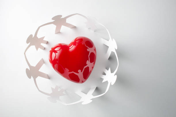 Heart with human paper chain isolated on a white background.