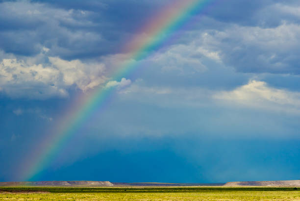 istock Rainbow Over Petrified Forest National Park, Arizona 1305247753