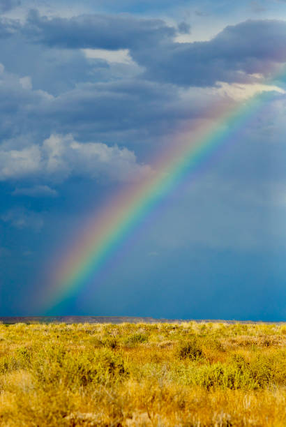 istock Rainbow Over Petrified Forest National Park, Arizona 1305247756