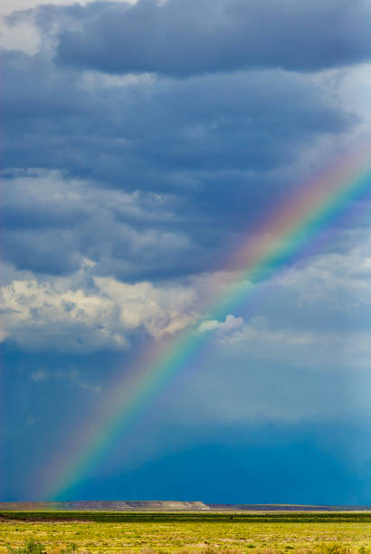 istock Rainbow Over Petrified Forest National Park, Arizona 1305247767