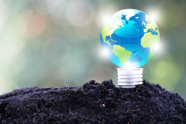 istock Energy saving light bulb and business or business growth concept 1305248873