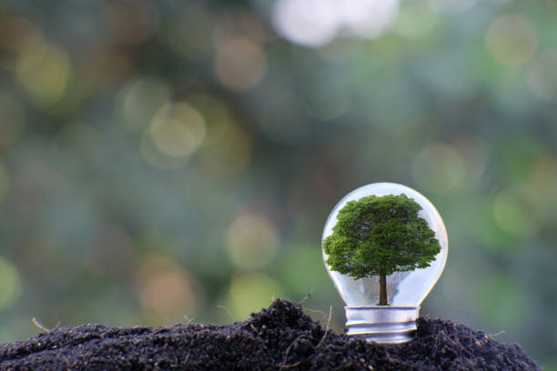 istock Energy saving light bulb and business or business growth concept 1305248957