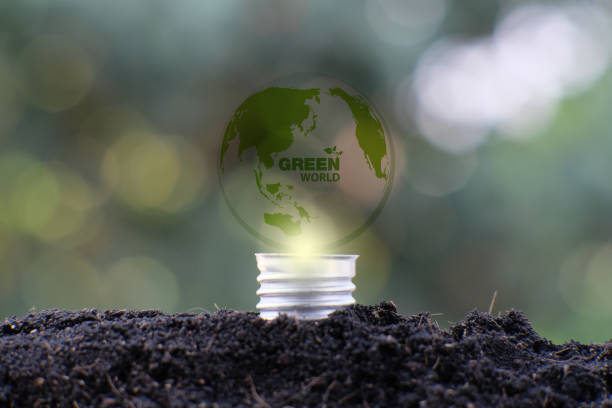 istock Energy saving light bulb and business or business growth concept 1305249011