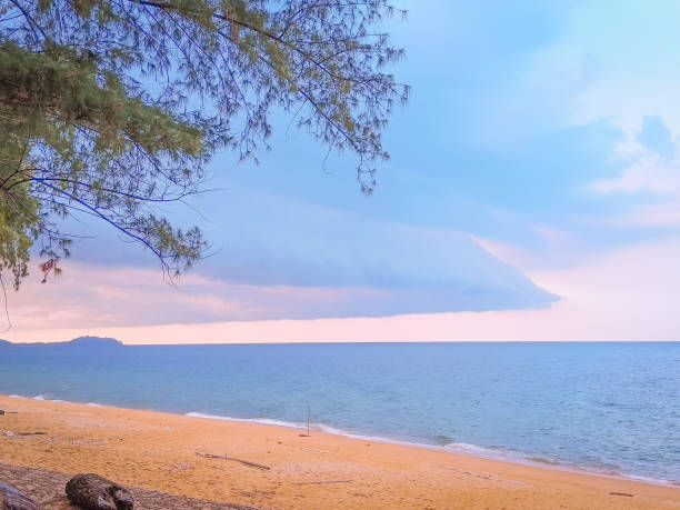 istock Dramatic sea view and blue sky, clouds, beautiful beach, sand, and tree. 1305249247
