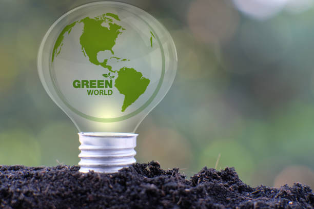 istock Energy saving light bulb and business or business growth concept 1305249286