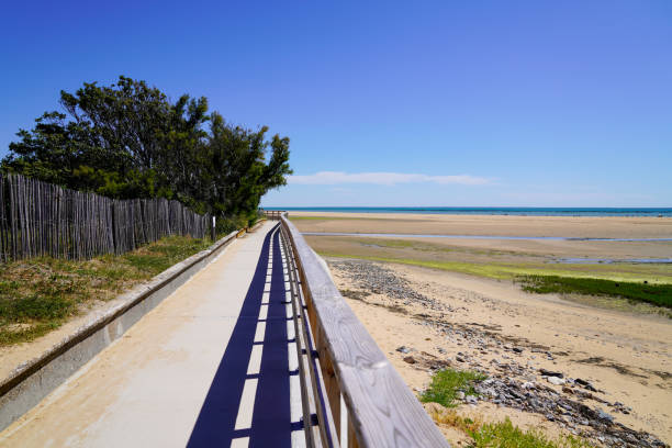 rota costeira acesso duna praia de areia de jard sur mer no oceano atlântico frança - plank boardwalk pontoon bridge summer - fotografias e filmes do acervo