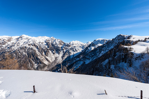 Mountain range of the Monte Carega (Carega Mountain) in winter with snow, also called the Small Dolomites (Piccole Dolomiti) from the Altopiano della Lessinia (Lessinia Plateau). Near Malga Gaibana and Malga San Giorgio ski resort. Veneto and Trentino Alto Adige, Italy, Europe.