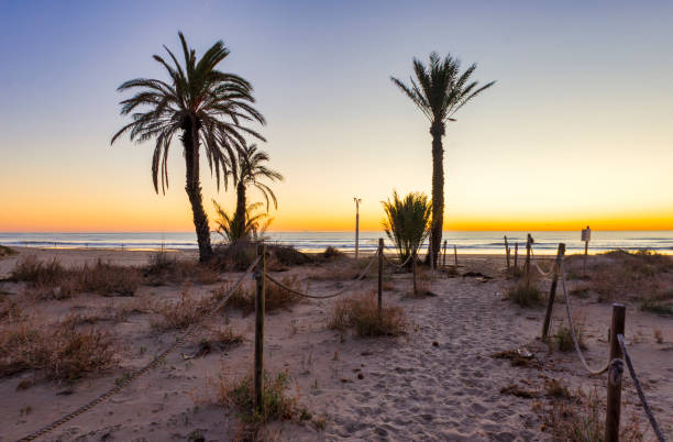 istock The beach during a nice and calm sunrise 1305258049