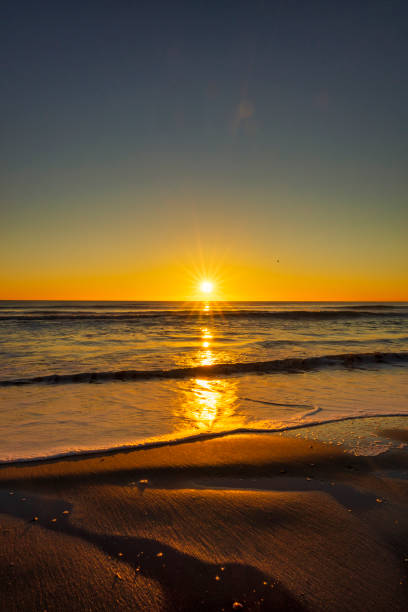 istock The beach during a nice and calm sunrise 1305258063