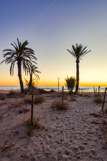 istock The beach during a nice and calm sunrise 1305258064