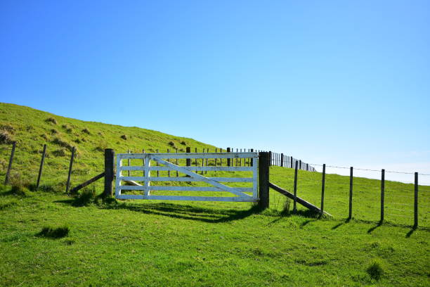 istock Dairy Farm Wire Fences With Timber Gate 1305258617