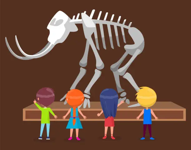 Vector illustration of Exhibition in Natural Museum with Mammoth Skeleton