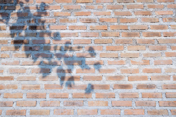 istock shadow of leaf on old vintage red brick wall for texture or background 1305262770