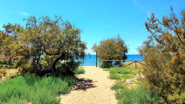 istock Glimpse of the sea 1305263558