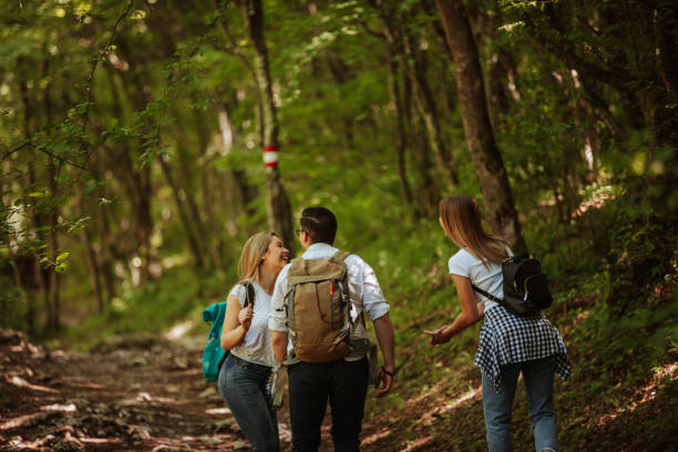 istock Young friends with backpackers walking in green forest on sunny day 1305265525