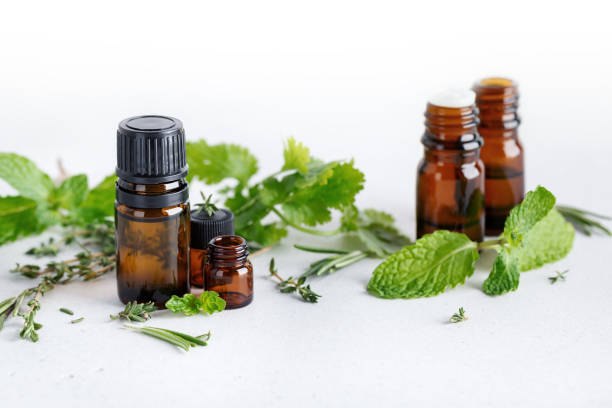 istock Collection of various essential oils with different herbal ingredients 1305267003