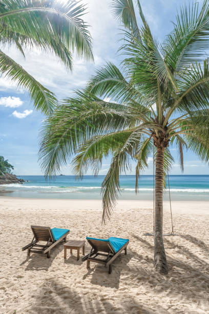 istock Travel vacation background at summer beach. 1305267719