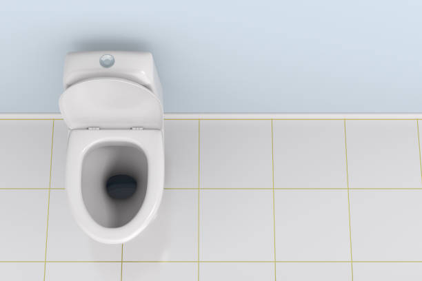istock Toilet bowl into washroom. 3D illustration 1305269710