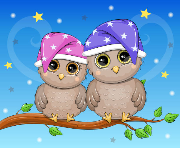 1,802 Owl Couple Illustrations & Clip Art - iStock | Owl pair, Owl love