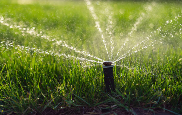 istock Automatic sprinkler system watering the lawn. Lawn irrigation. 1305271841