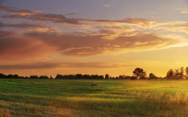 istock Beautiful sunset with dramatic sky over agricultural field. 1305271847