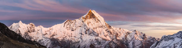 alpenglow illumina il panorama delle cime delle montagne machapuchare annapurna sanctuary himalaya nepal - annapurna range foto e immagini stock