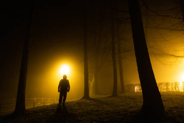 istock Sinister silhouette man lurking in forest at night 1305273520
