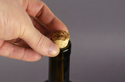 Wine bottle with broken cork and hand on gray background. A man's hand holds onto a broken wine cork.