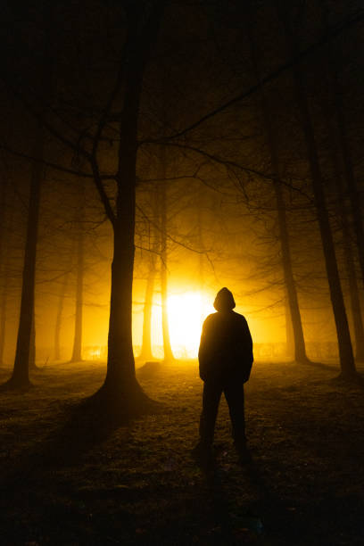 istock Sinister silhouette man lurking in forest at night 1305273693