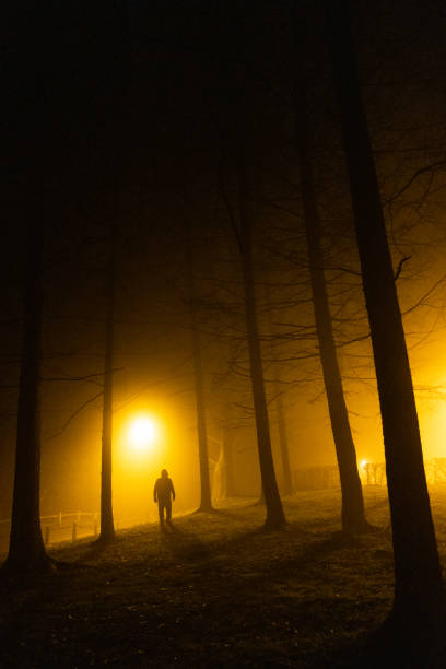 istock Sinister silhouette man lurking in forest at night 1305273695