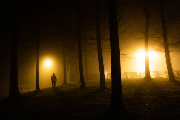 istock Sinister silhouette man lurking in forest at night 1305273721
