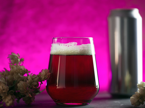 A low glass of craft red beer on a trendy modern illuminated background, a branch of dry hops