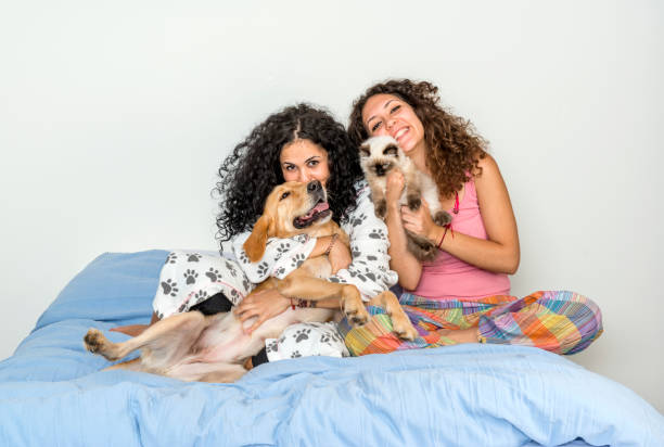 istock Sisters playing with their pets on bed in the morning 1305278022