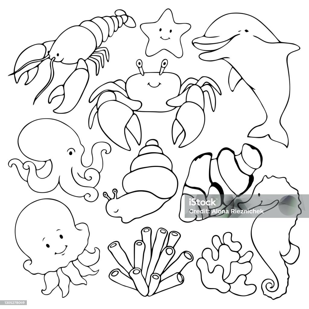 Cartoon Black Outline Sea Animal Icon Set Stock Illustration - Download  Image Now - Clown Fish, Doodle, Ocean Floor - iStock