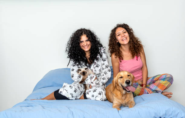 istock Sisters playing with their pets on bed in the morning 1305278093