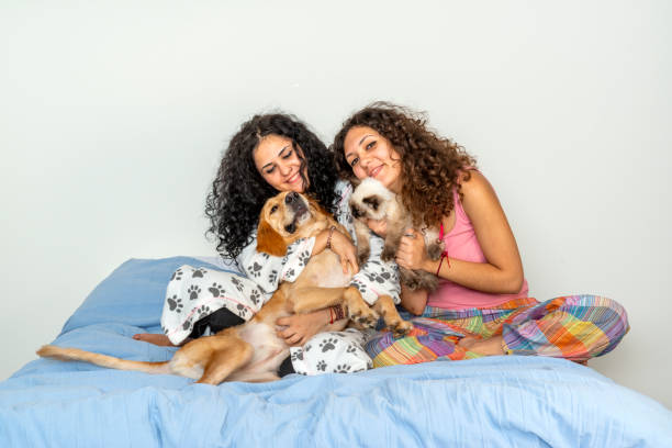 istock Sisters playing with their pets on bed in the morning 1305278134