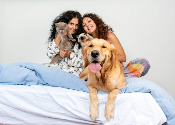 istock Sisters playing with their pets on bed in the morning 1305278259