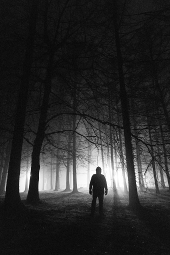 Moody dark image depicting a strange sinister man back lit by street lamps in the forest, rendering him a silhouette.